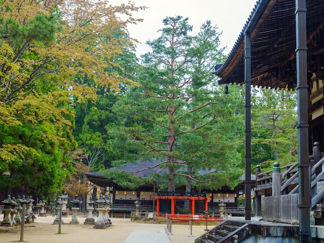 「1文字目が……」読むのが難しいと思う“和歌山県の駅”ランキング1位に困惑の声!【2026年調査】(All About NEWS)|dメニューニュース(NTTドコモ) 「1文字目が……」読むのが難しいと思う“和歌山県の駅”ランキング1位に困惑の声!【2026年調査】
