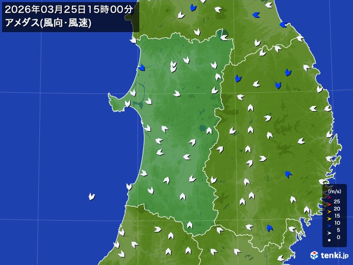 秋田県の過去のアメダス実況(2026年03月25日)(風向・風速) - 日本気象協会 tenki.jp