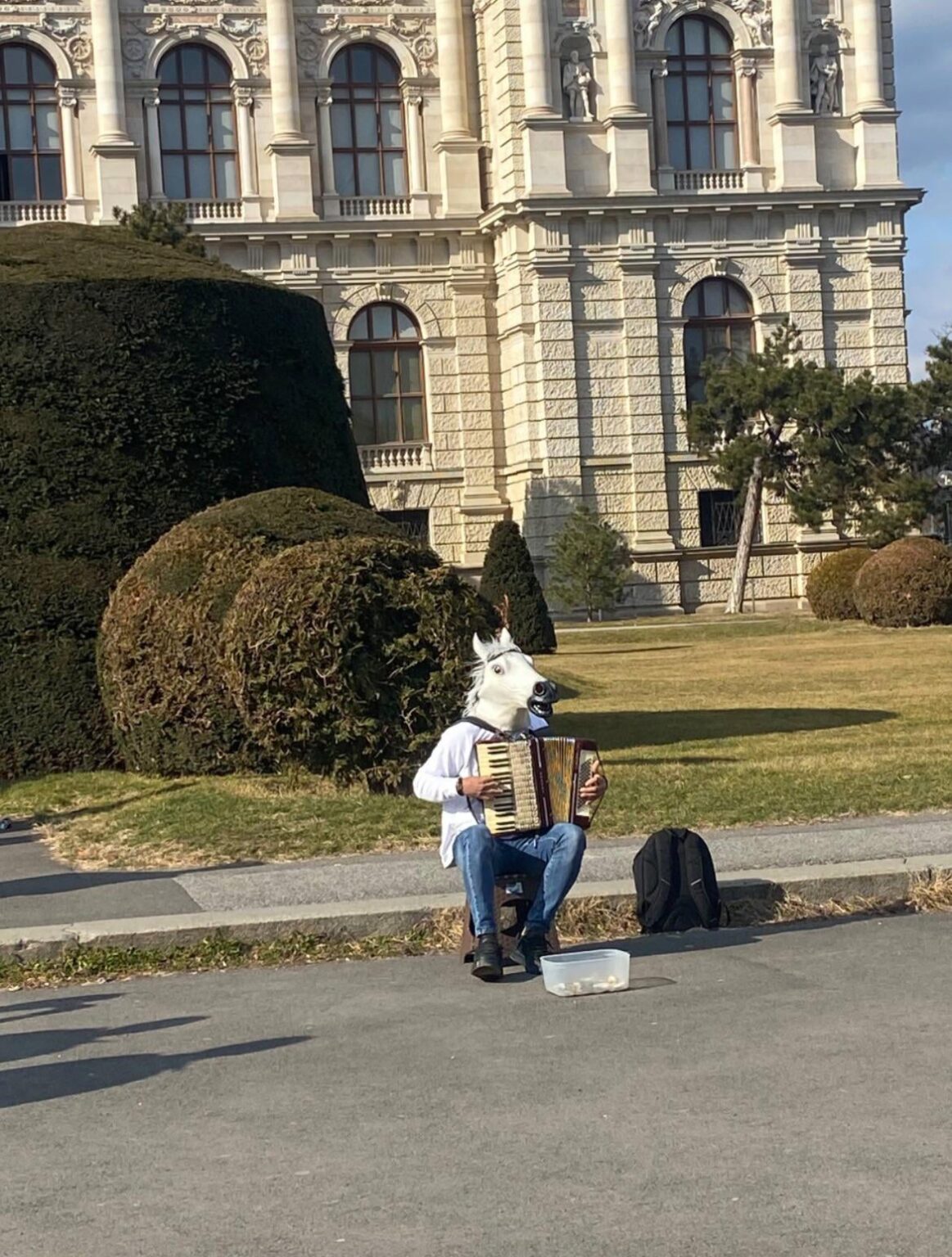 ウィーンの最も平凡な一日