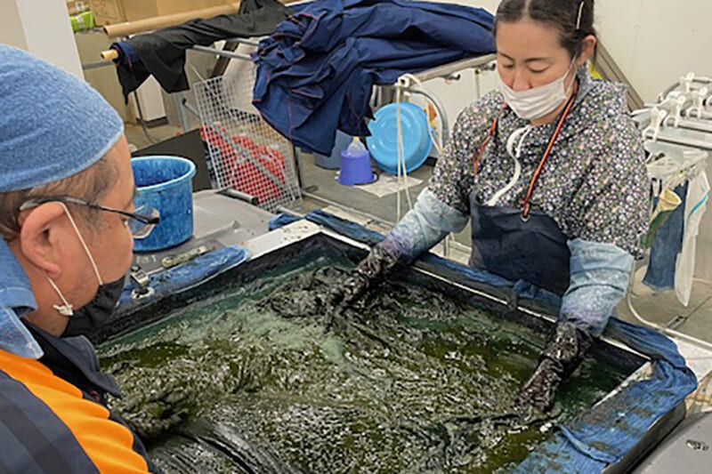 ③あおもり藍による染色作業の様子
