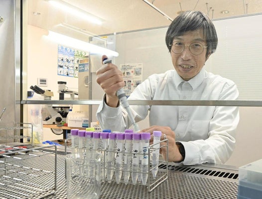 ＢＮＣＴの研究に取り組む渡辺さん。「多くのがんに使えるようにしたい」と薬剤の開発などに励む（大阪府熊取町で）