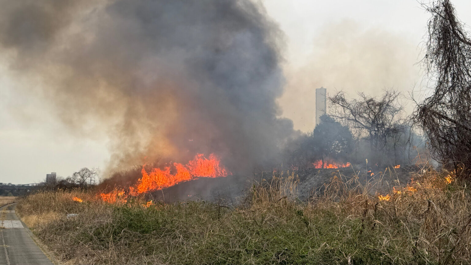 神奈川・厚木市 相模川の河川敷2か所で枯草火災 現在も延焼中(TBS NEWS DIG Powered by JNN) 神奈川・厚木市 相模川の河川敷2か所で枯草火災 現在も延焼中(TBS NEWS DIG Powered by JNN)