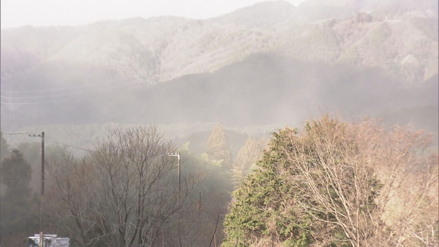 煙のように舞い上がる…“スギ花粉”がピーク 滋賀・岐阜から名古屋方面にやってくる スギ林で調査（CBCテレビ） - Yahoo!ニュース