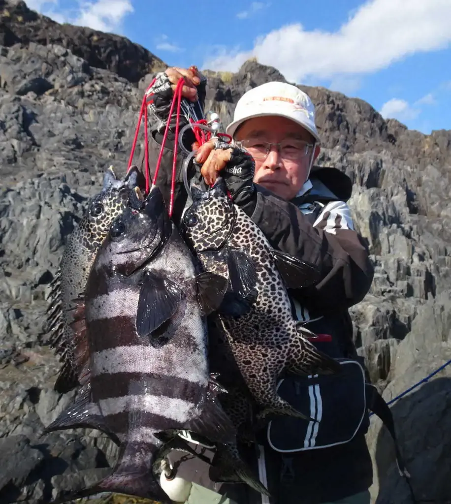 鹿児島県、屋久島 磯底もの釣りが乗っ込みシーズン 50センチ超え連発!! – スポニチ Sponichi Annex 社会 鹿児島県、屋久島 磯底もの釣りが乗っ込みシーズン 50センチ超え連発!! - スポニチ Sponichi Annex 社会