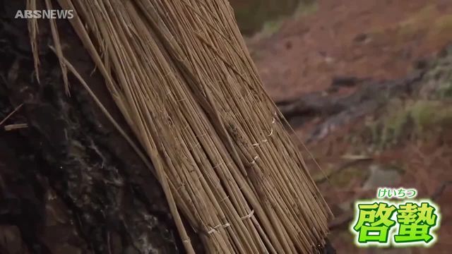 二十四節気のひとつ 啓蟄　秋田市の寺で恒例の「こも外し」　春を迎える準備整える（ABS秋田放送） - Yahoo!ニュース