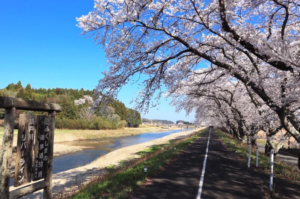 新旧住民をつなぐ福島県浪江町「桜」の会 震災から15年、避難期間中も手入れをしてきた人たち #つなぐ伝統 #知り続ける（Yahoo!ニュース オリジナル 特集）