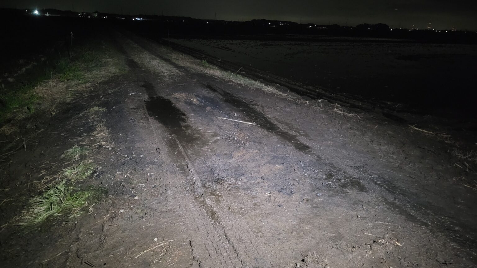 茨城・稲敷市の農道で車両火災　中から2人の遺体　自殺の可能性高いとみて調べる（TBS NEWS DIG Powered by JNN）