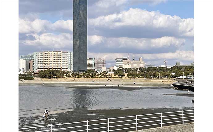 『ポートパーク』での潮干狩りでアサリ3.8kgをゲット！【千葉】ハマグリも交じる