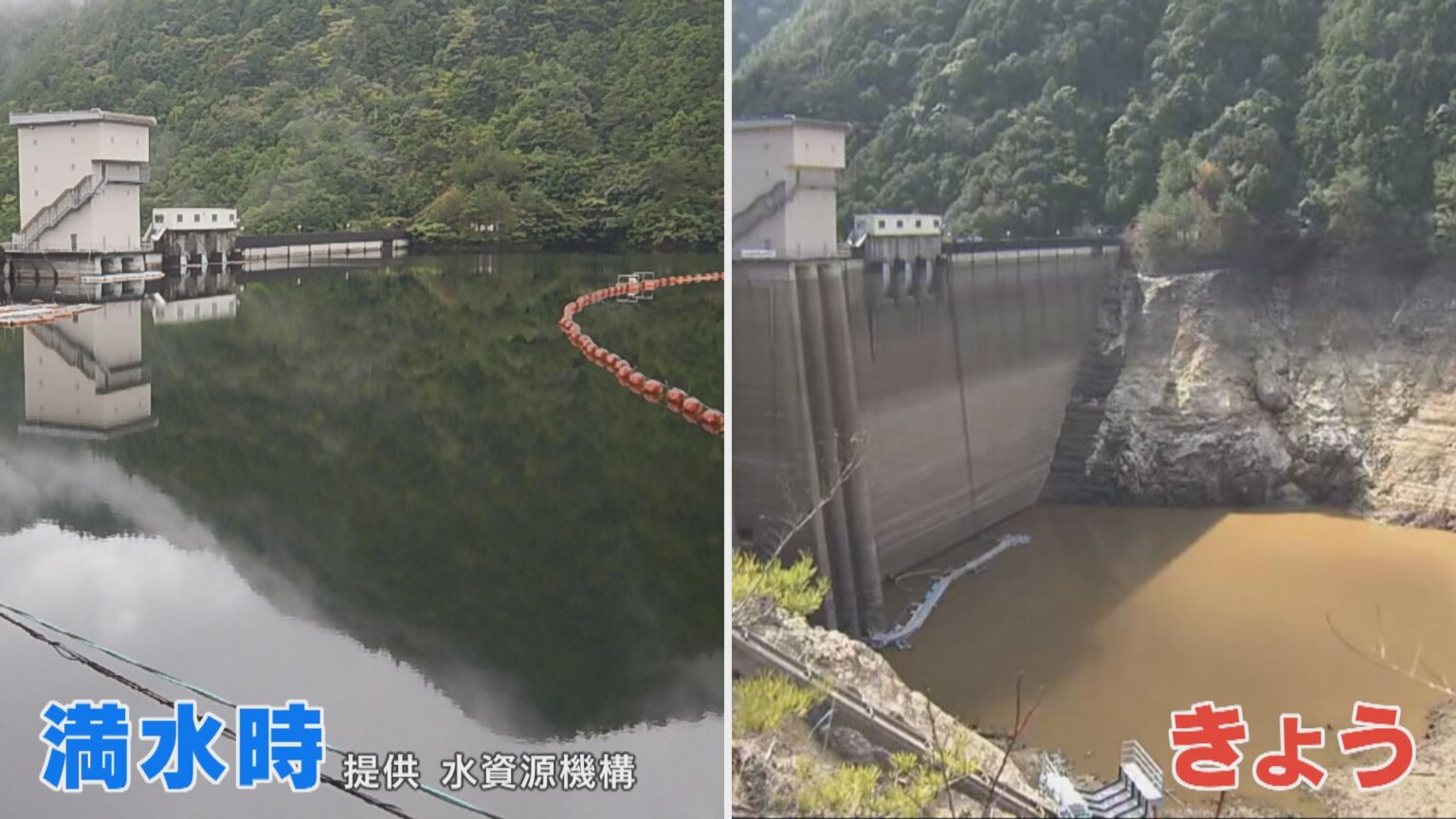 水不足でダムが空っぽに…ついに貯水率0％突入で“緊急取水”開始 水資源機構「渋滞防ぐため見に来ないで」農家が時間区切って使う“番水”も実施調整へ 愛知（CBCテレビ） - Yahoo!ニュース