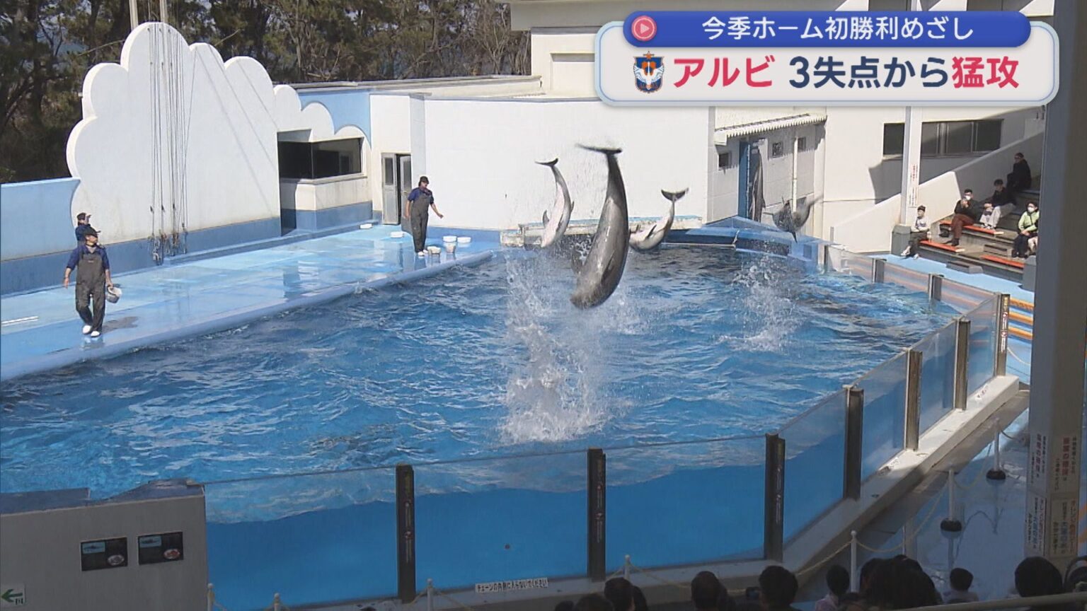 3連休スタート！イルカショーなど家族連れでにぎわうも ガソリン高騰の影響続く【新潟】（UX新潟テレビ21） - Yahoo!ニュース