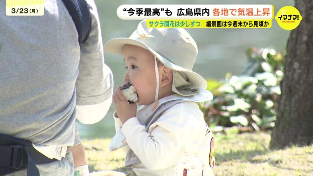 今季一番の暖かさに 各地サクラの開花は進む　縮景園は今週末にも見頃へ　広島（RCC中国放送） - Yahoo!ニュース