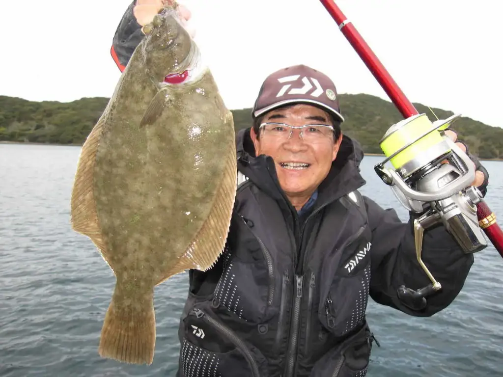 徳島県鳴門市、中野一渡船 春を告げる33センチのカレイをゲット!! – スポニチ Sponichi Annex 社会 徳島県鳴門市、中野一渡船 春を告げる33センチのカレイをゲット!! - スポニチ Sponichi Annex 社会