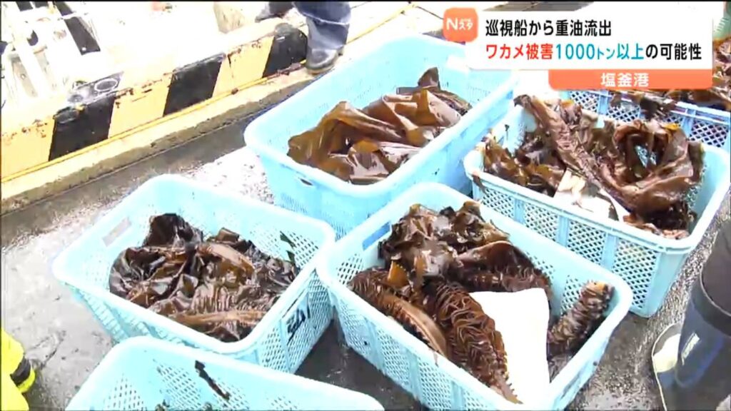 海上保安部巡視船の重油流出で 宮城・塩釜港の「養殖ワカメに被害」　1000トン以上廃棄の可能性も（tbc東北放送） - Yahoo!ニュース