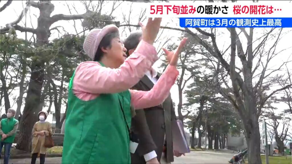 各地で5月下旬並みのポカポカ陽気 津川では3月の観測史上“最高”気温を観測　高田の桜は「あすあさって」? 新潟県内（ＢＳＮ新潟放送） - Yahoo!ニュース