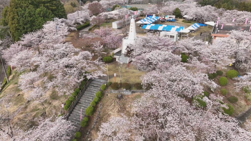桜の名所 2000本のソメイヨシノが満開 山一帯を覆い 春の風景広がる 山梨・大法師公園(UTYテレビ山梨) – Yahoo!ニュース 桜の名所 2000本のソメイヨシノが満開 山一帯を覆い 春の風景広がる 山梨・大法師公園(UTYテレビ山梨) - Yahoo!ニュース