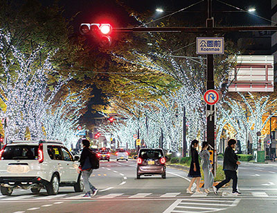 今年も輝く 和歌山の冬 〜３kmに延長 けやきライトパレード | ニュース和歌山