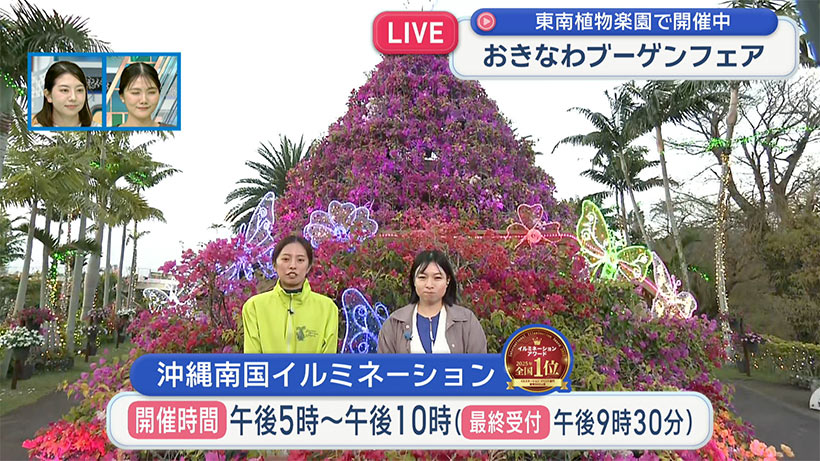 【中継】東南植物楽園 – QAB NEWS Headline