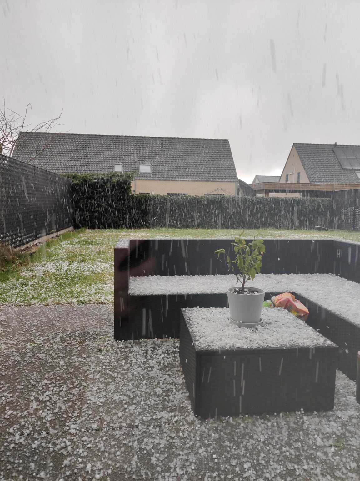 皆様、ベルギーの美しい春の日です！