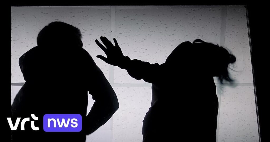 我が国では、親密なパートナーによる暴力に関するファイルが 1 日あたり平均 185 件 | VRT NWS ニュース