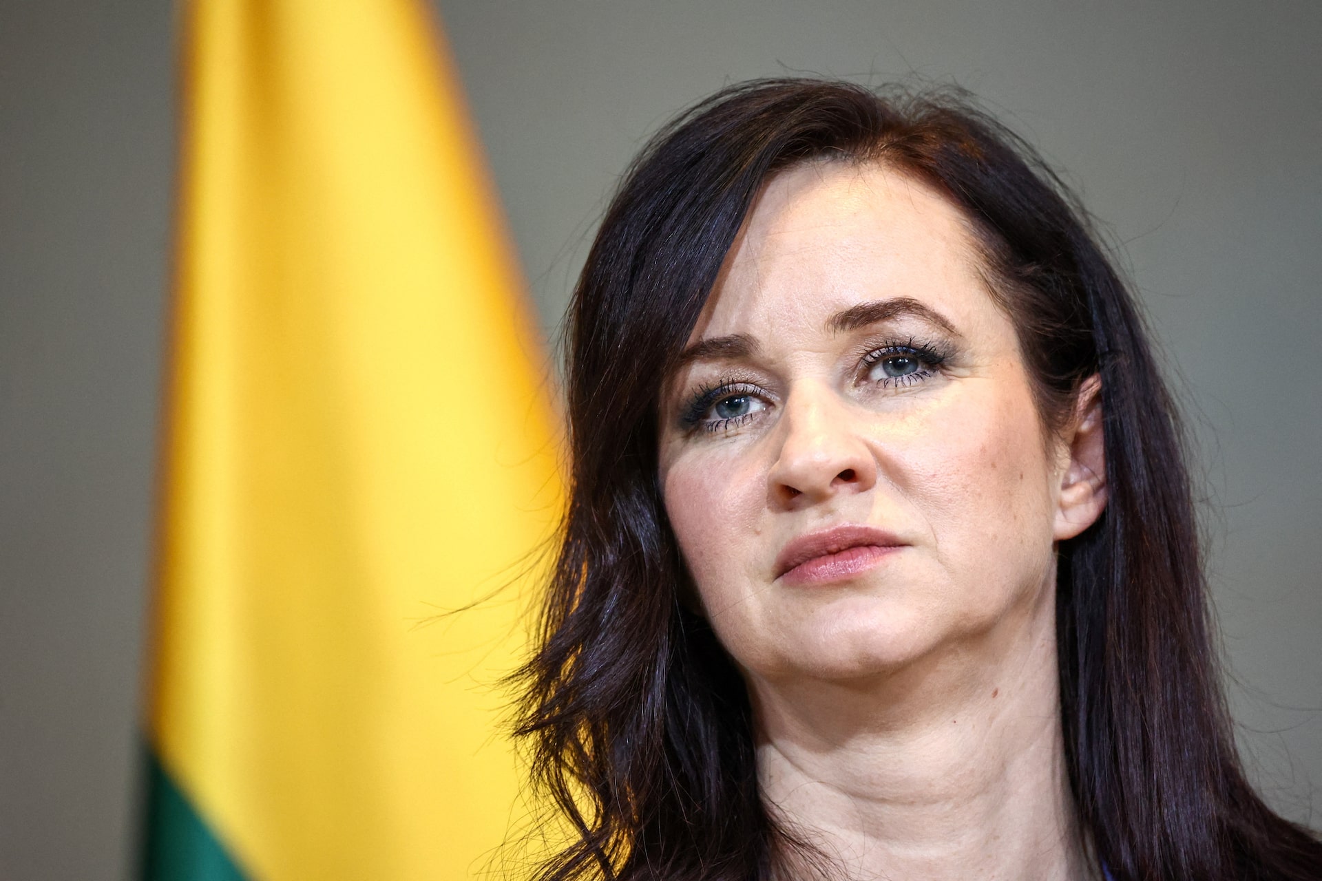 リトアニアで墜落のドローン、ウクライナから飛来か　ロシア標的も進路誤る