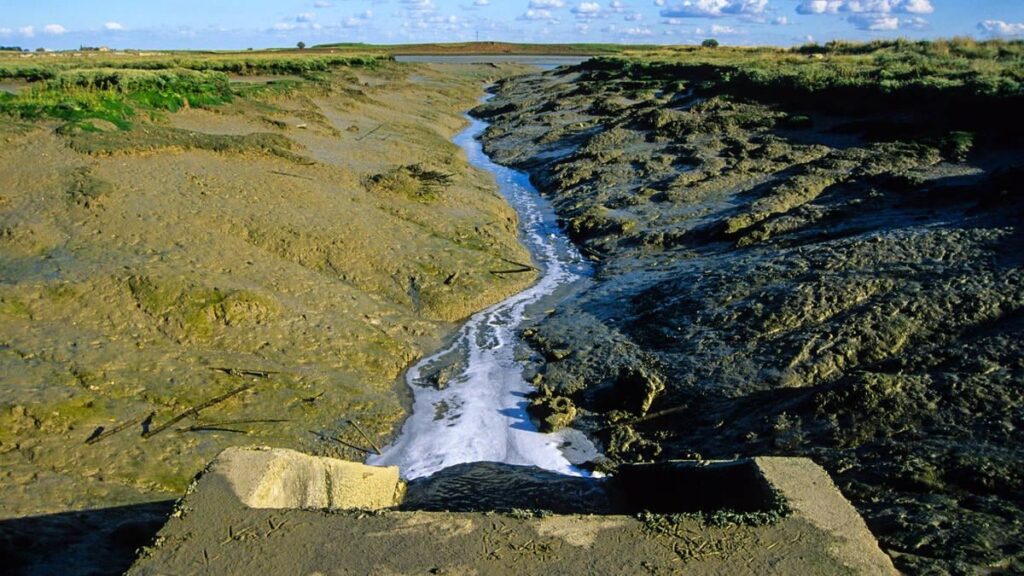 水道会社は「犯罪組織」のように行動し、渇水日に毎月1万時間相当の下水を投棄している