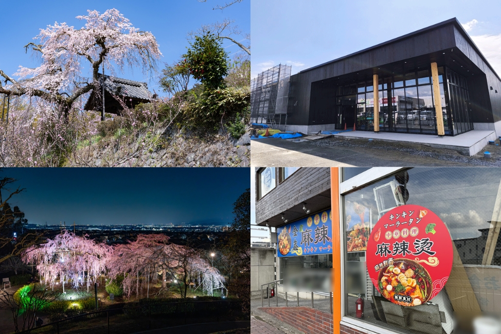 週刊ALCO　令和8年3月28日号の画像