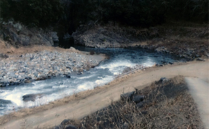 【山梨・桂川】渓流釣り解禁! 本流から支流まで主要ポイント総まとめ | TSURINEWS 【山梨・桂川】渓流釣り解禁! 本流から支流まで主要ポイント総まとめ