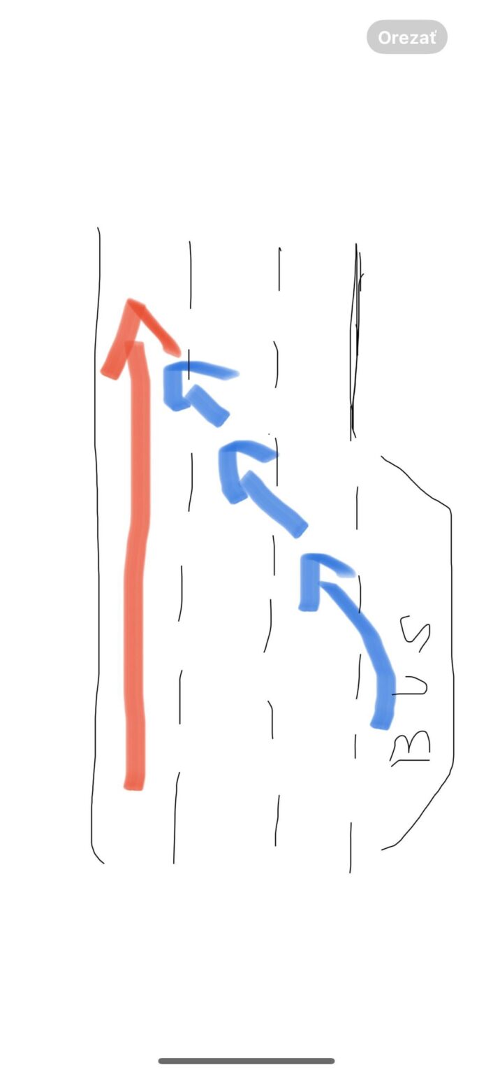 ここで誰が間違っていたのでしょうか？