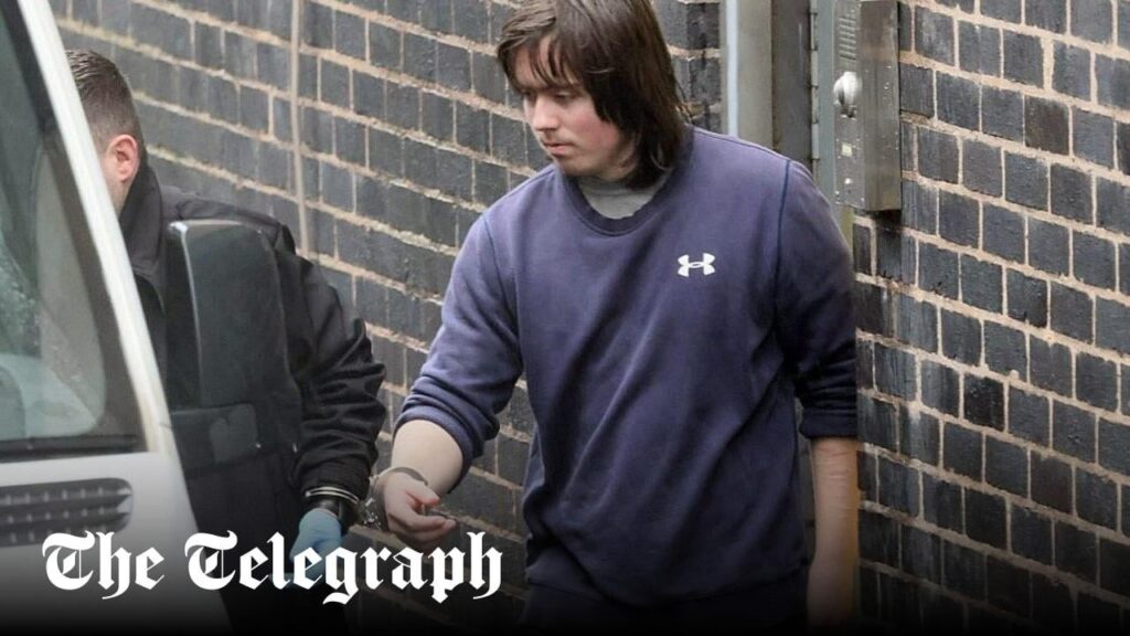 「女性嫌い」を理由に母親をハンマーで殺害した少年