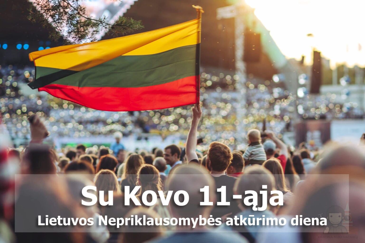 3月11日おめでとうございます！