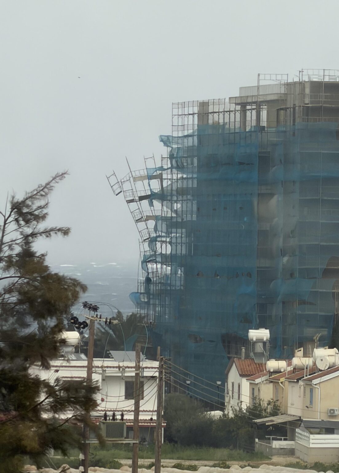 EU の健康と安全基準が遵守されていることは嬉しいことです…