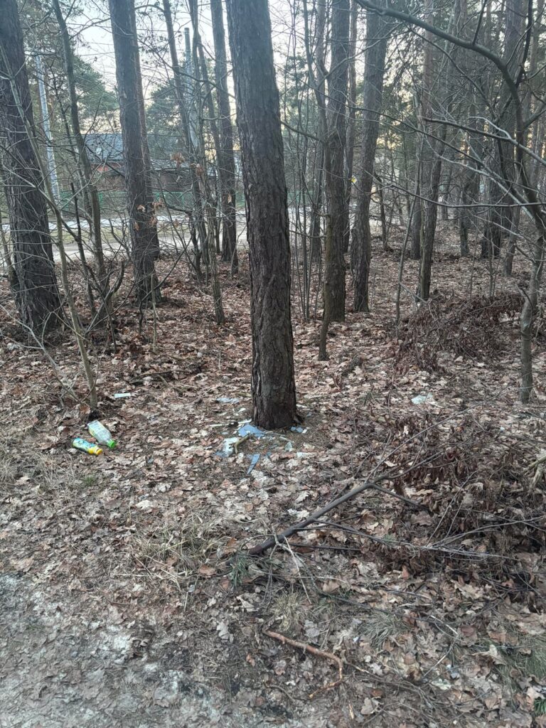 冬の後の自然が大好きです