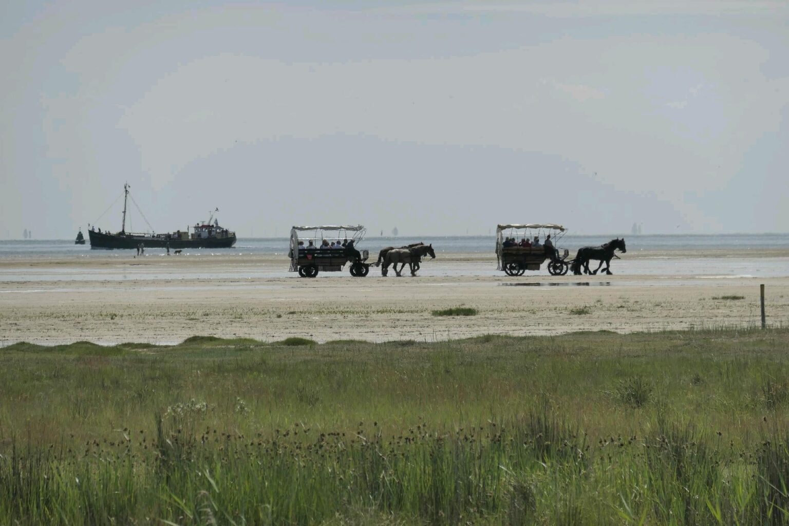 干潟カートツアー