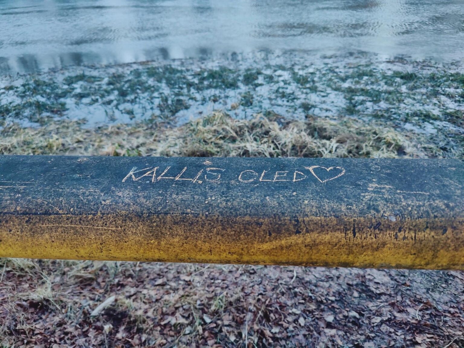 エストニアの燃料と電気