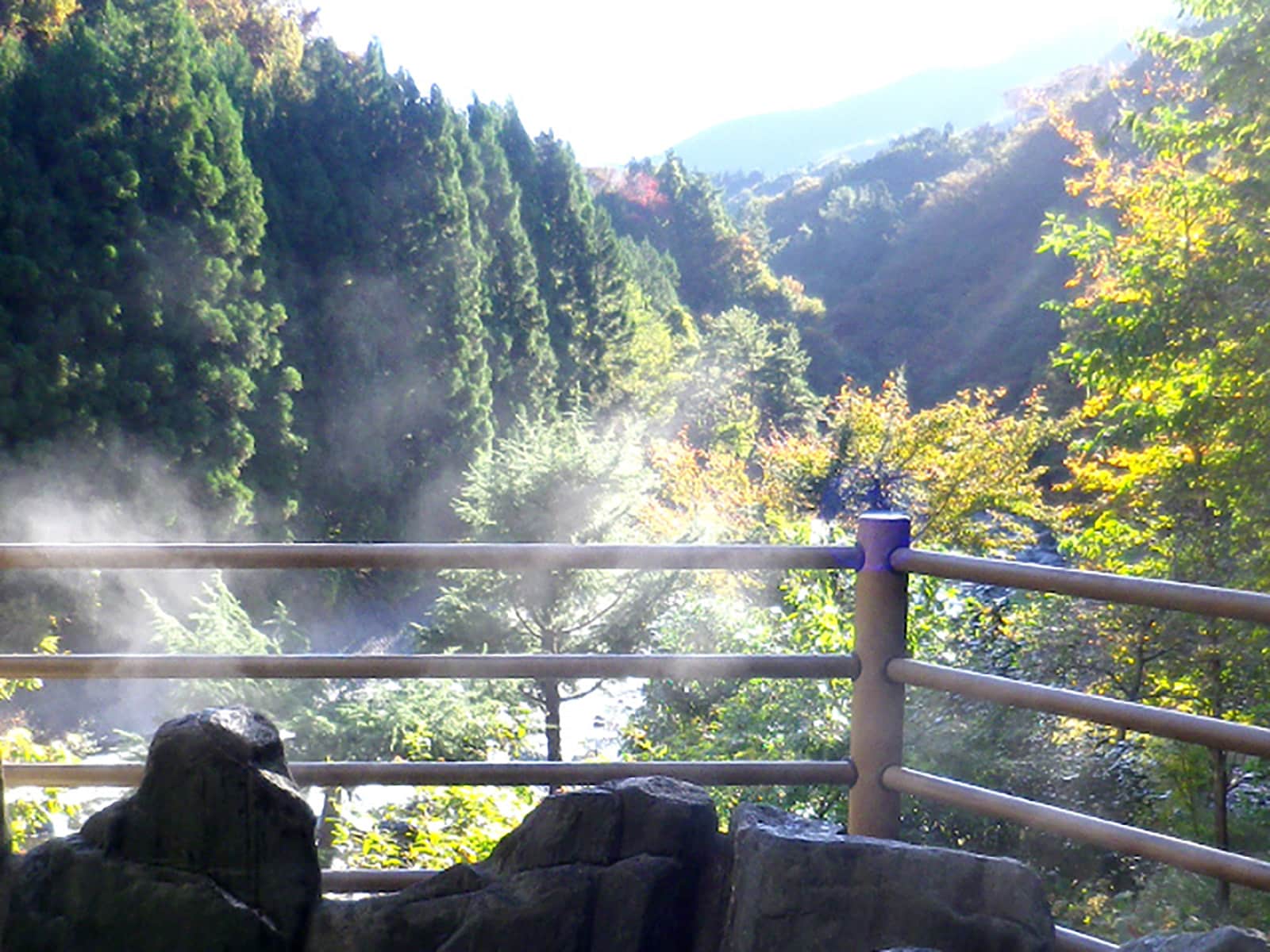 道志川温泉 紅椿の湯