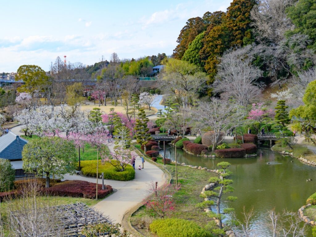 茨城県の“行ってみたい＆好きな桜の名所”TOP10！ 2位「偕楽園桜山」を抑えた1位は？【2026年調査】 - All About ニュース