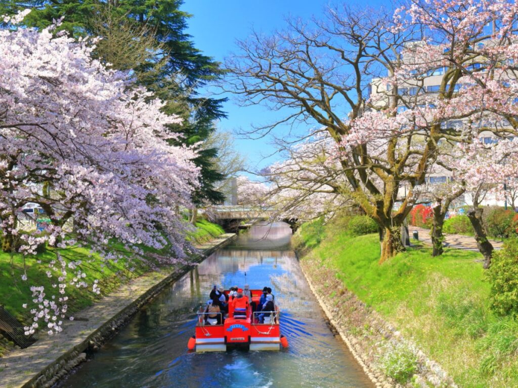 富山県の「行ってみたい&好きな桜の名所」TOP10! 2位「松川べり」を抑えた1位は?【2026年調査】 – All About ニュース 富山県の「行ってみたい&好きな桜の名所」TOP10! 2位「松川べり」を抑えた1位は?【2026年調査】 - All About ニュース