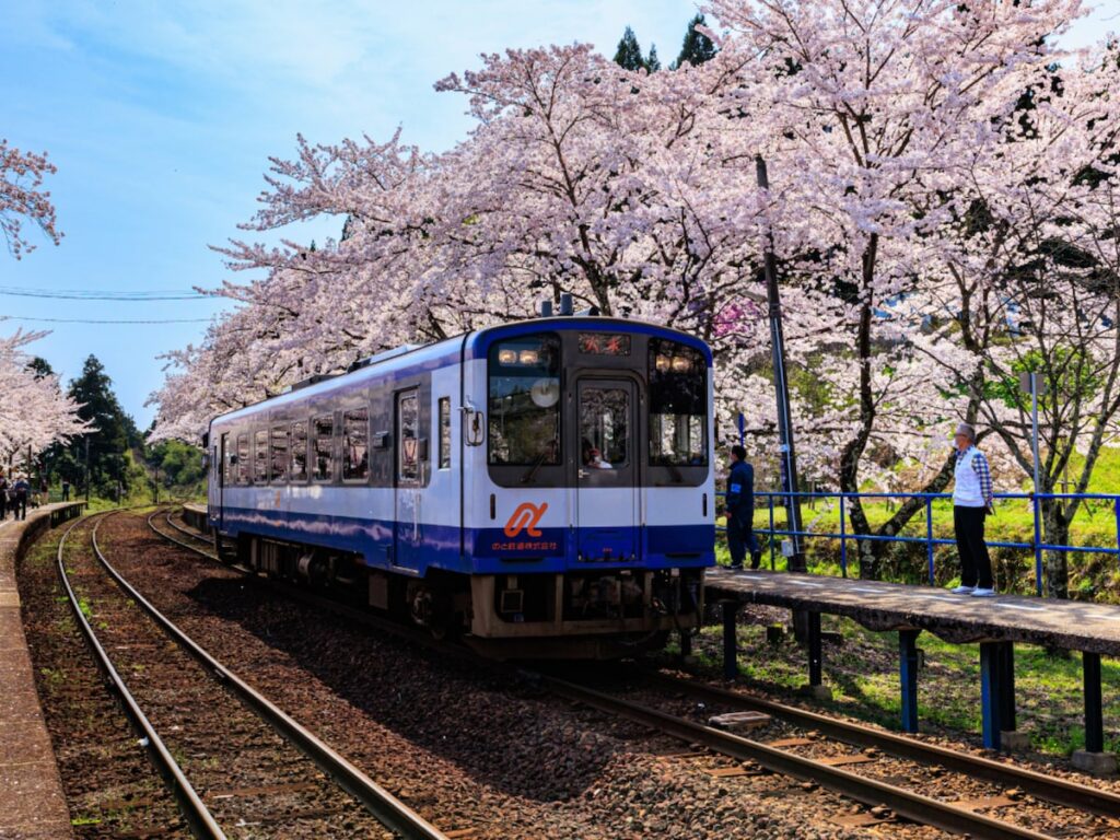 石川県の「行ってみたい&好きな桜の名所」7選! 「能登さくら駅」を抑えて最多票を獲得したのは?【2026年調査】 – All About ニュース 石川県の「行ってみたい&好きな桜の名所」7選! 「能登さくら駅」を抑えて最多票を獲得したのは?【2026年調査】 - All About ニュース