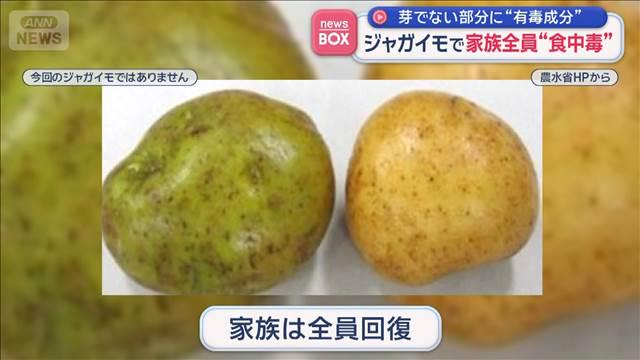 ジャガイモで家族全員“食中毒” 芽でない部分に“有毒成分”