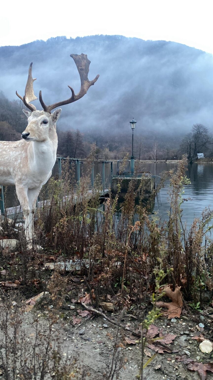私が撮影しました 📸(パナギツァ村、エデッサ ギリシャ 🇬🇷 )OC