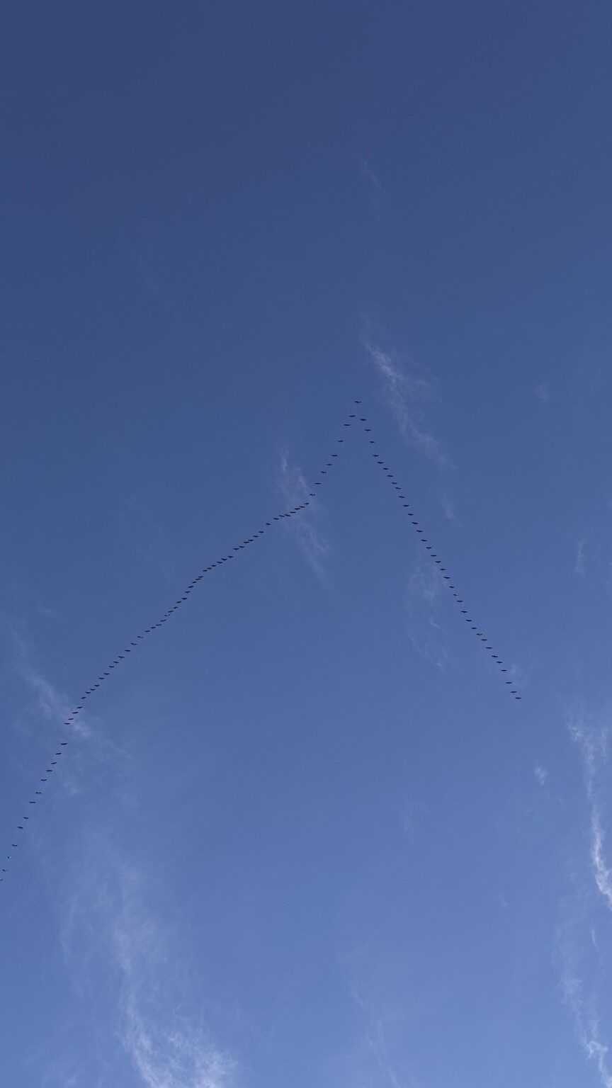 良い旅をしてください👋