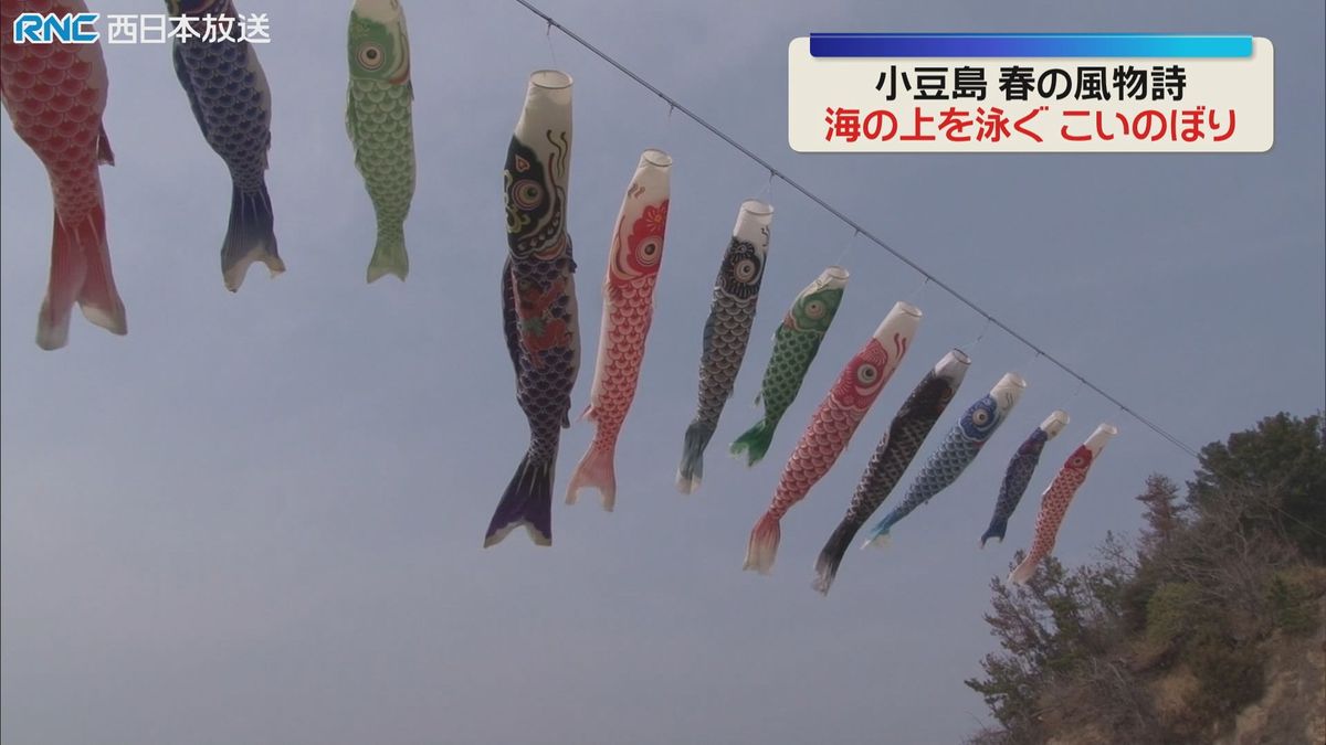 こいのぼり　海の上を優雅に泳ぐ　小豆島