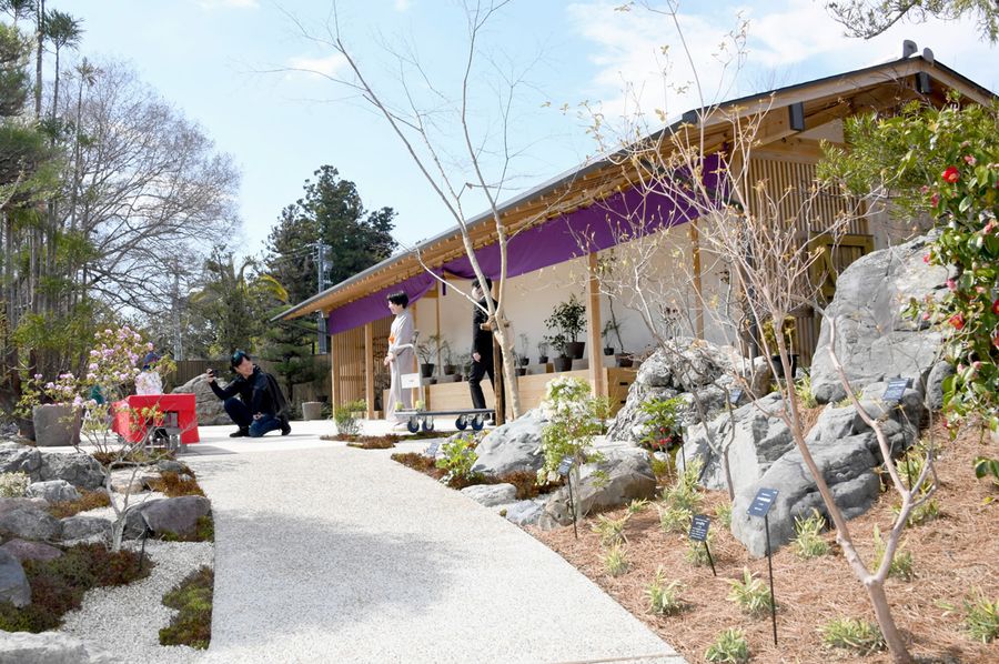 一新された南園の観賞棚エリア(高知市五台山の牧野植物園)