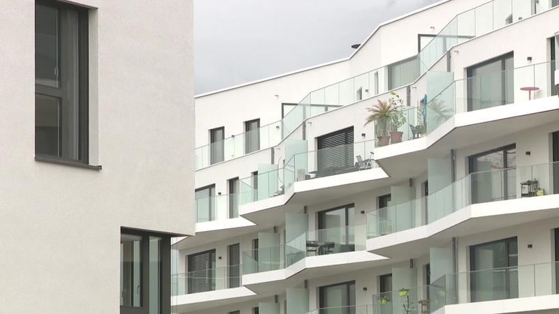 私たちの経験について話しましょう - レンタル