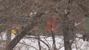 スノーモービル横転 8歳の女の子が死亡 現場は立入禁止区域 無許可でツアー 県から文書と口頭で中止するよう注意も 長野・白馬村