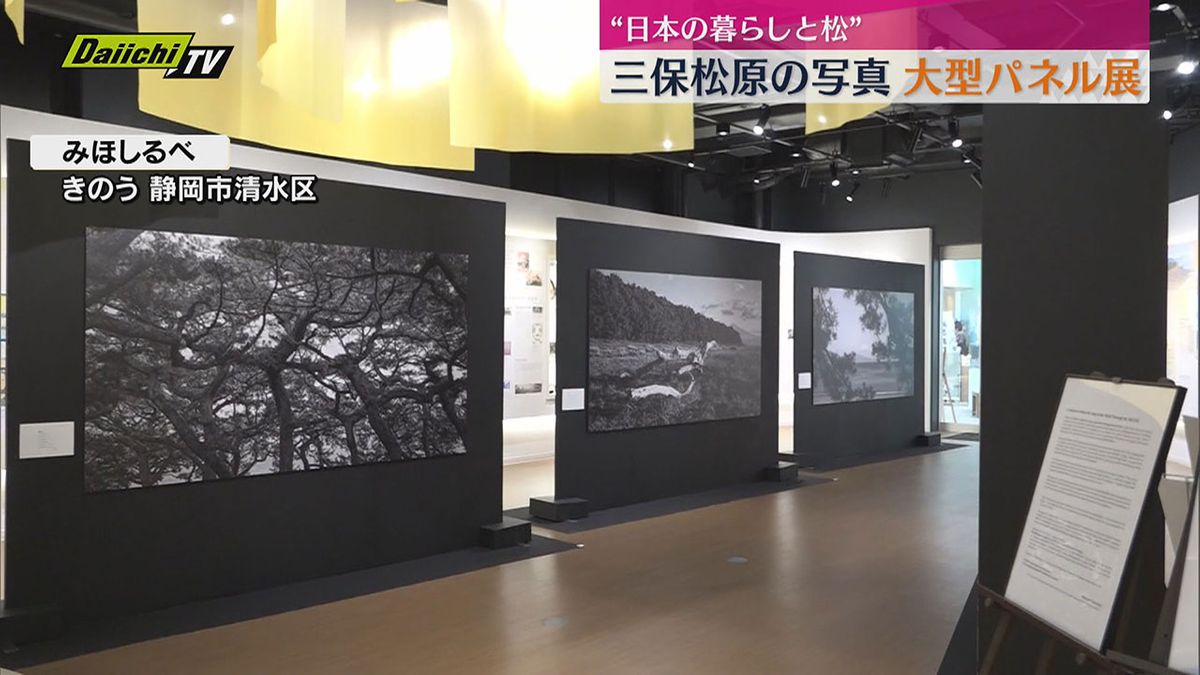 ”三保松原の写真” 大型パネルで展示（静岡市清水区）
