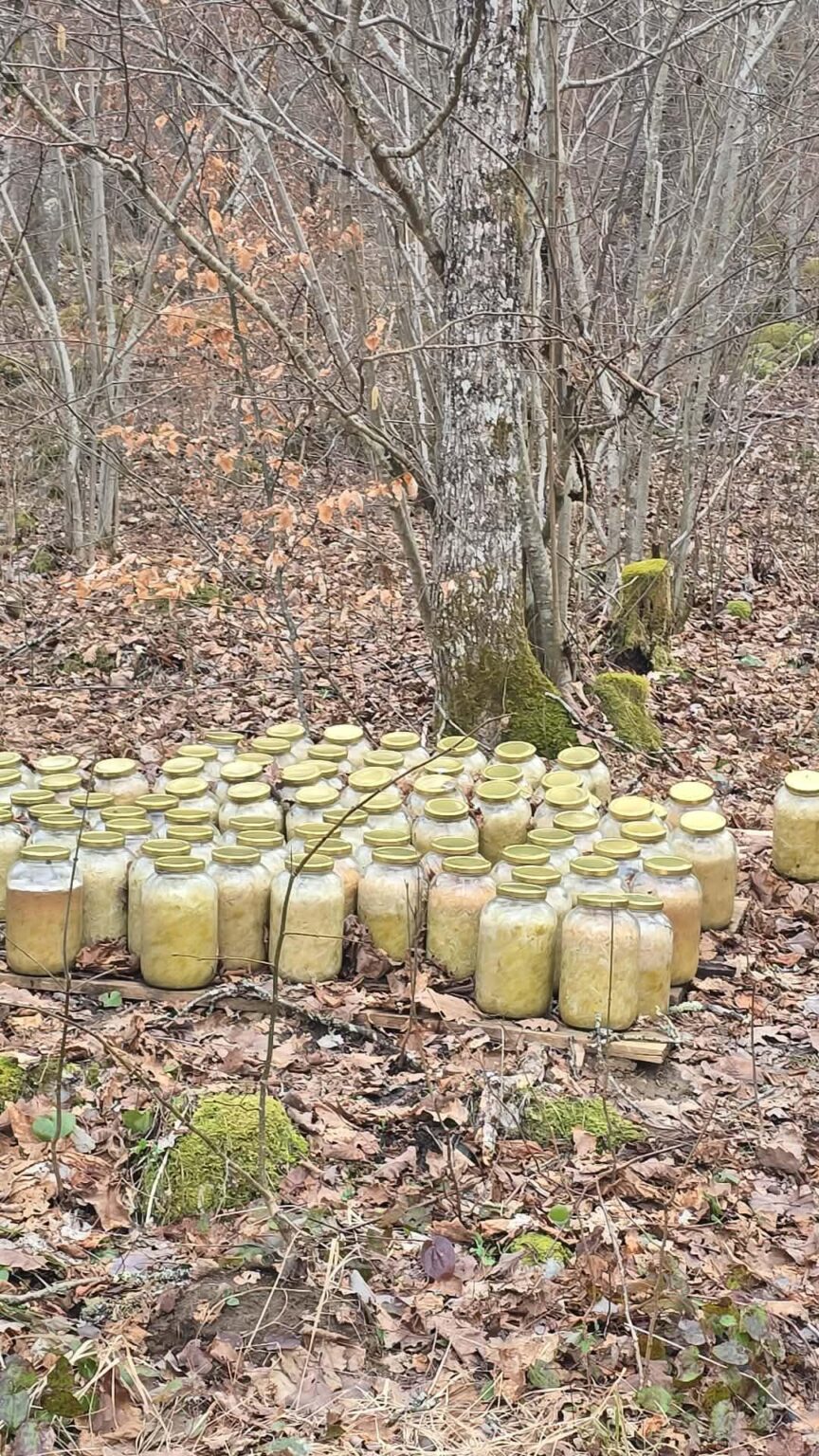 ファーム 2026 - 毎週のタスクを忘れました???