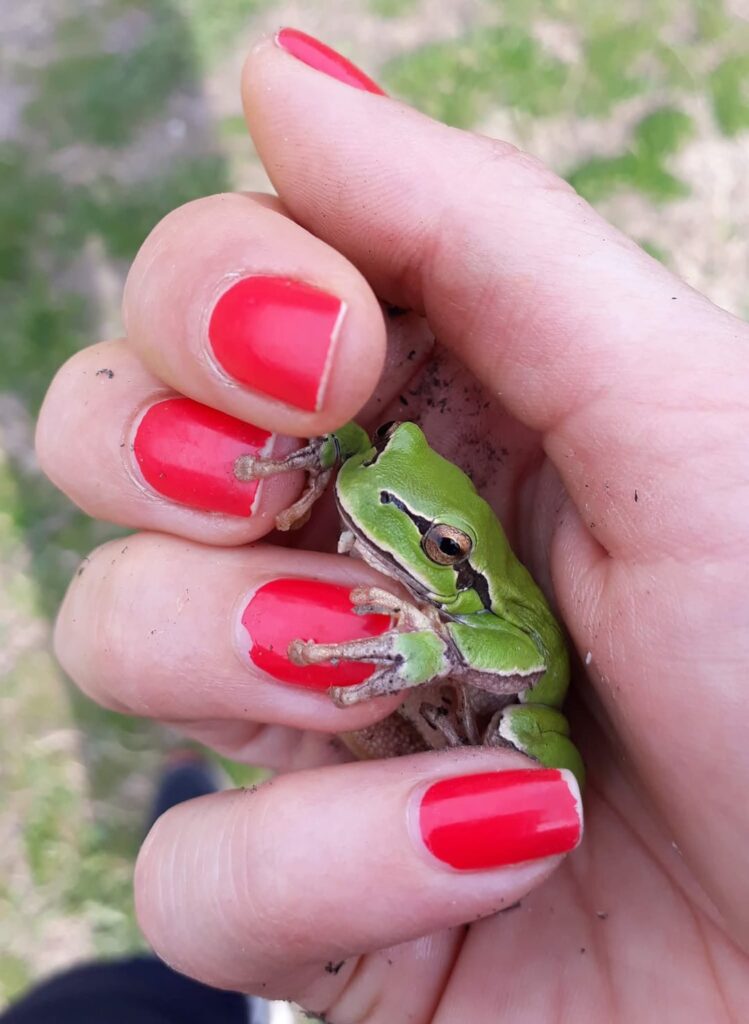 這ったり、飛び跳ねたり、シューシュー音を立てたり、飛んだりする生き物が怖いですか?