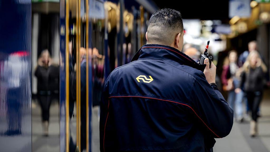 フォールブルグ駅での列車内での運賃不正行為に対する大規模な検査