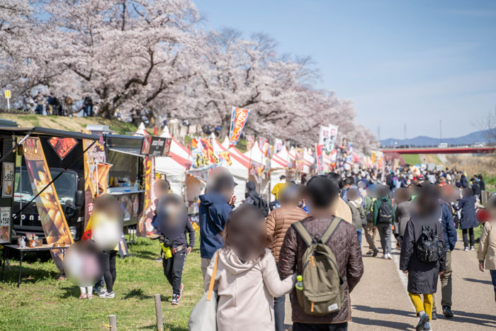 「背割堤の桜 ２０２２年」出展ブースなどの画像